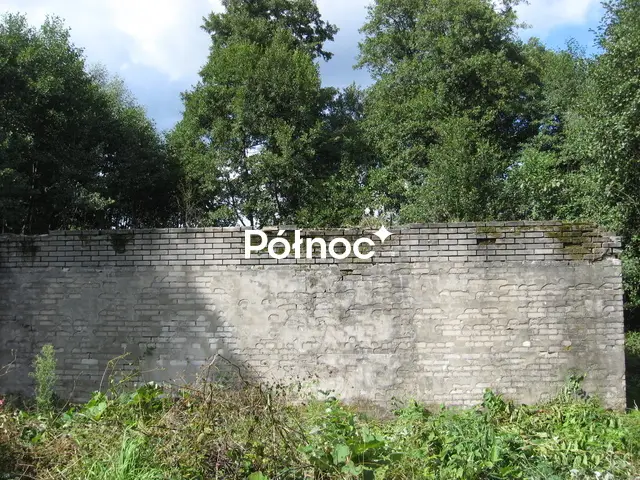 Zdjęcie 6