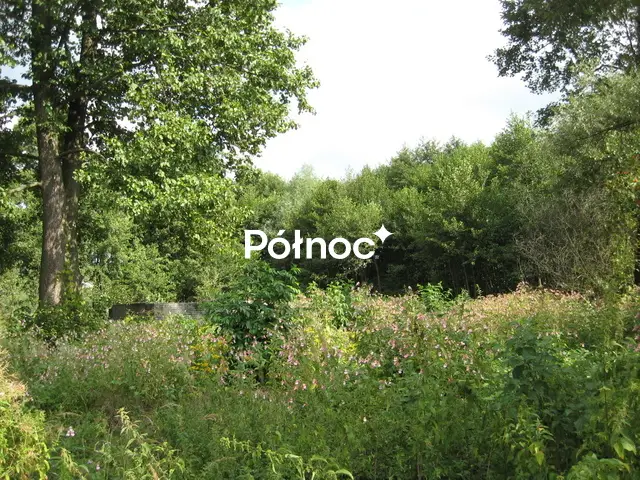 Zdjęcie 7