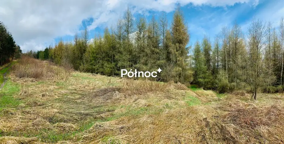 Zdjęcie 4