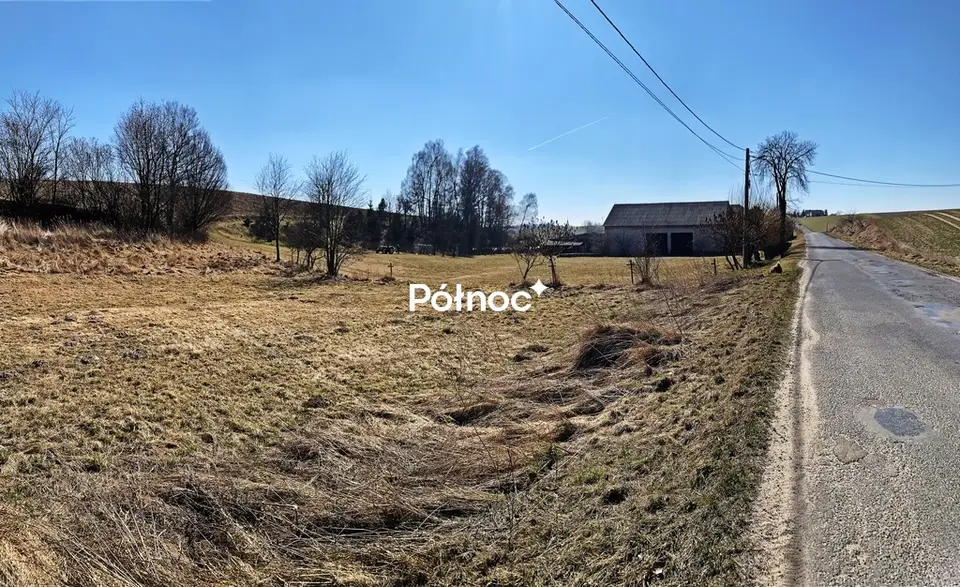 Zdjęcie 7