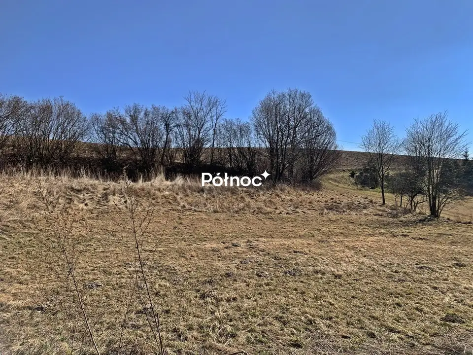 Zdjęcie 8