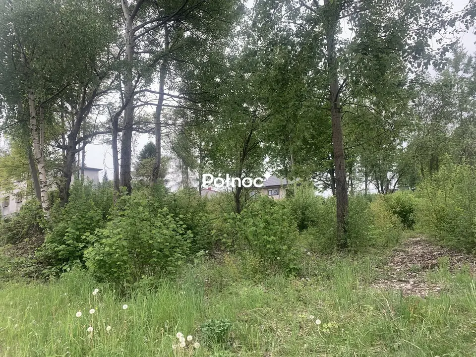 Zdjęcie 2