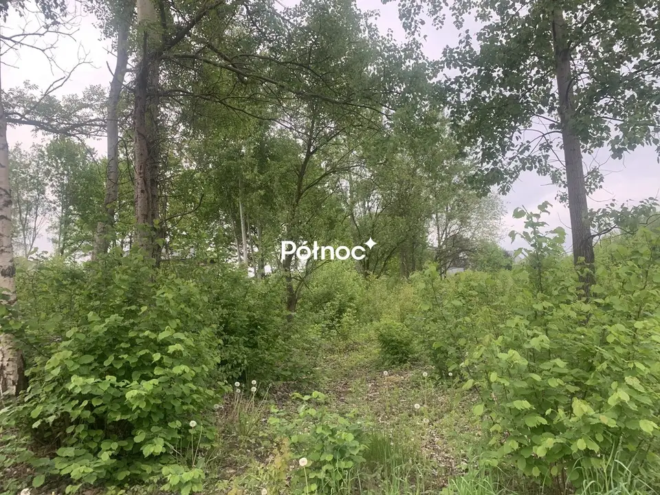 Zdjęcie 3