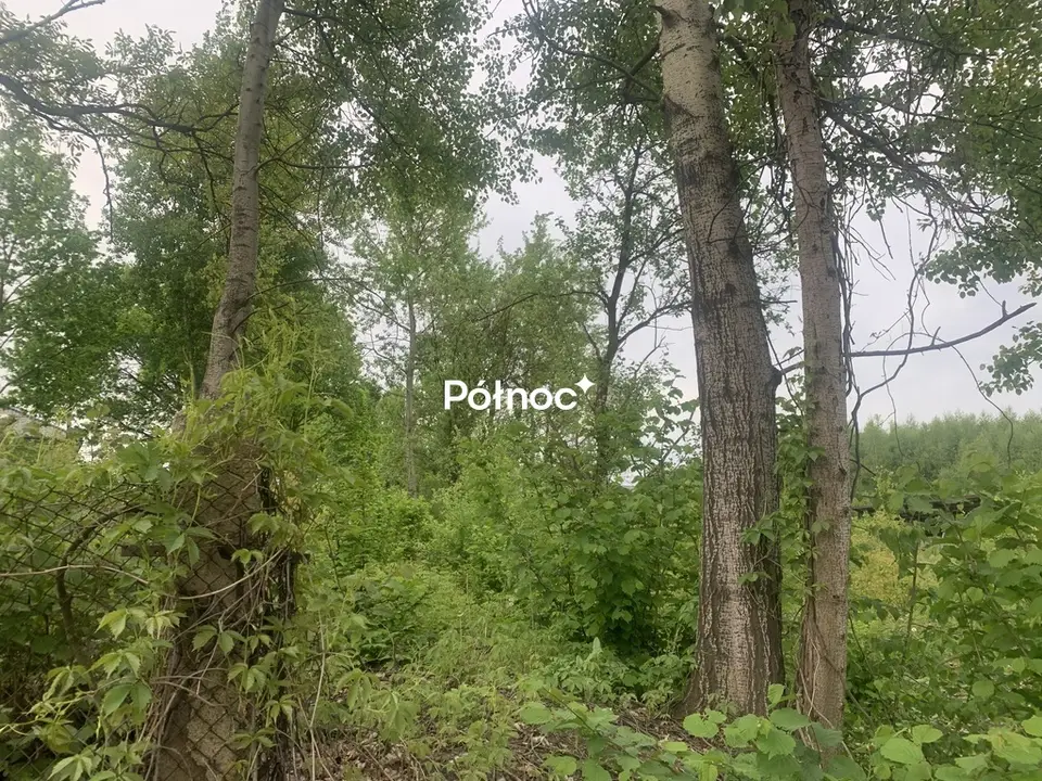 Zdjęcie 4
