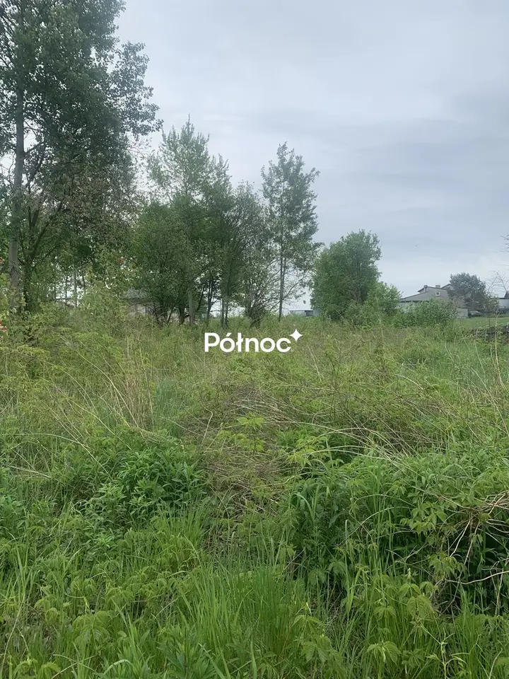 Zdjęcie 6