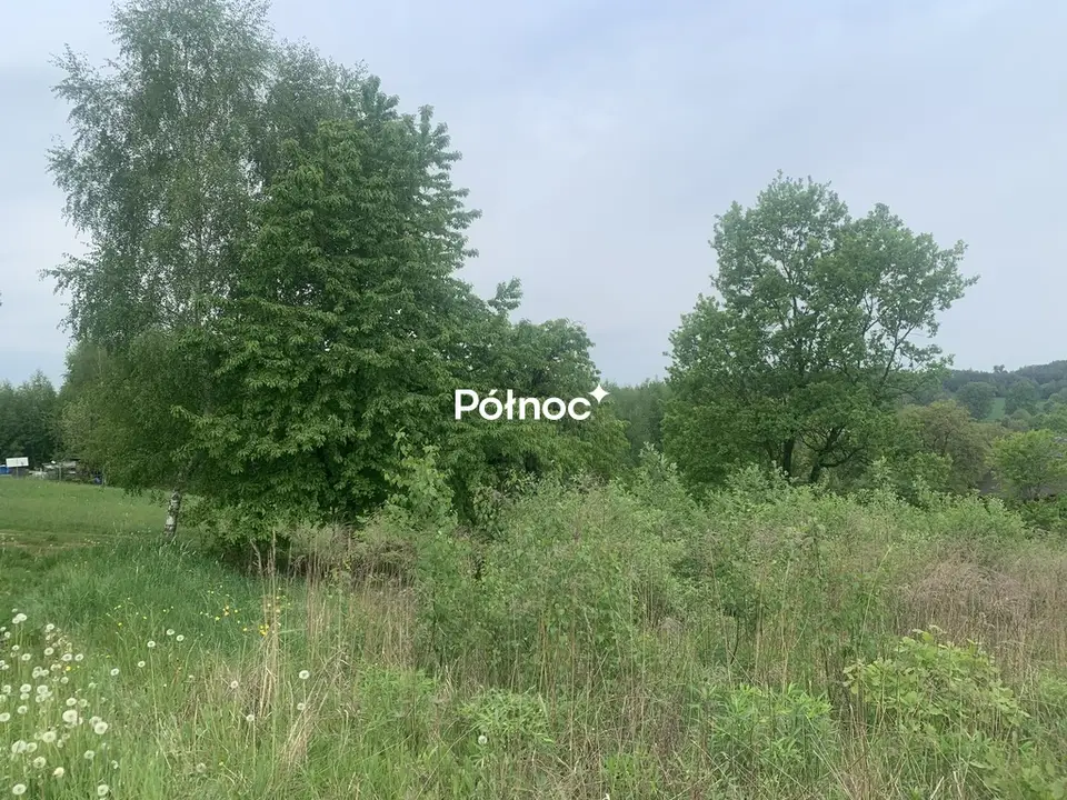 Zdjęcie 3