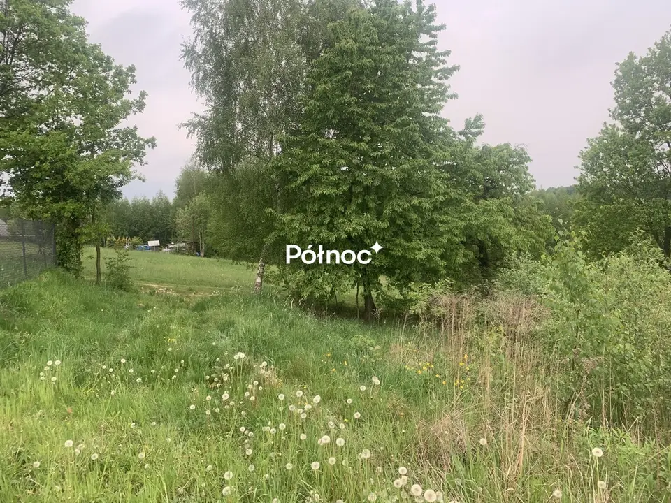 Zdjęcie 4