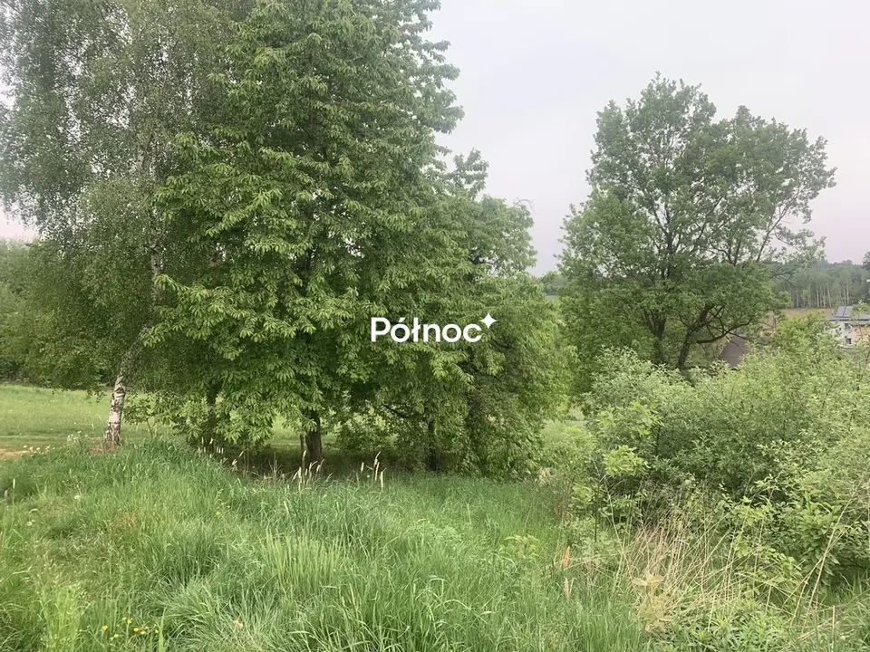 Zdjęcie 5