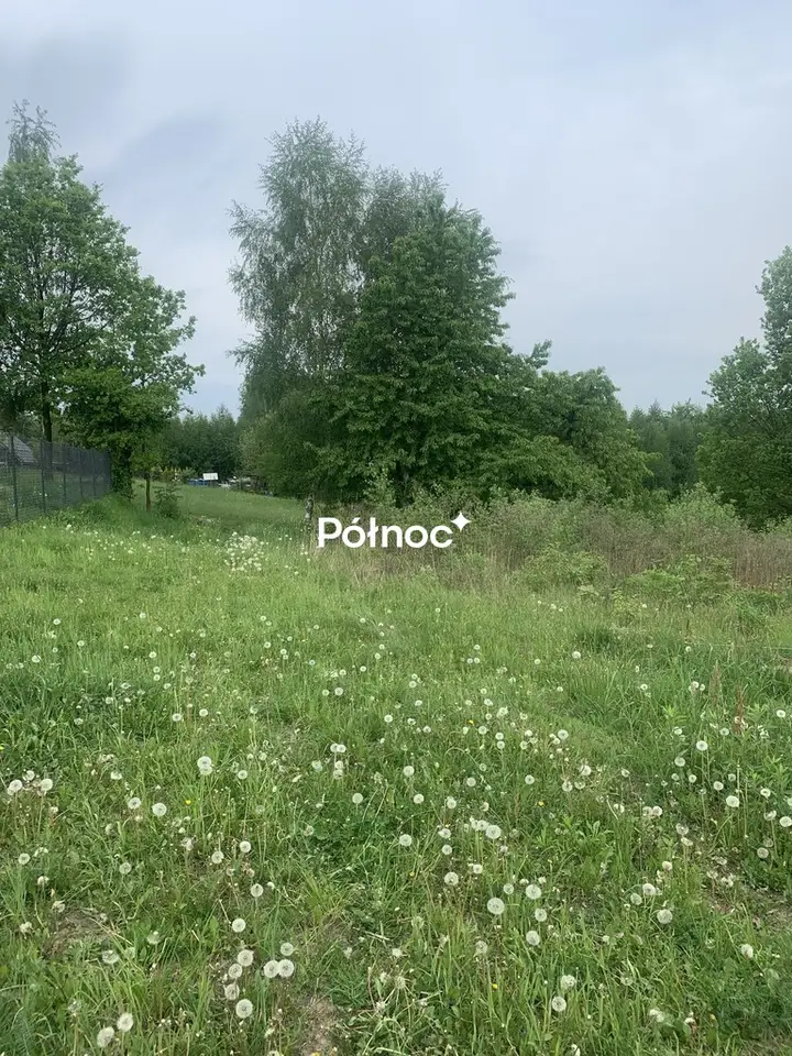 Zdjęcie 7