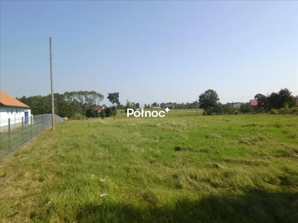 Zdjęcie 3