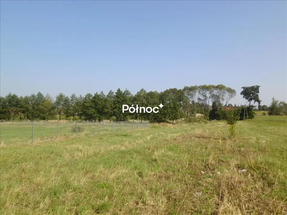 Zdjęcie 4