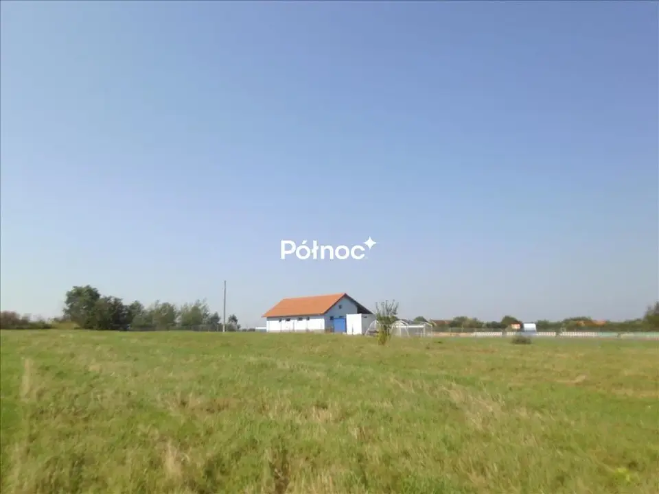 Zdjęcie 5