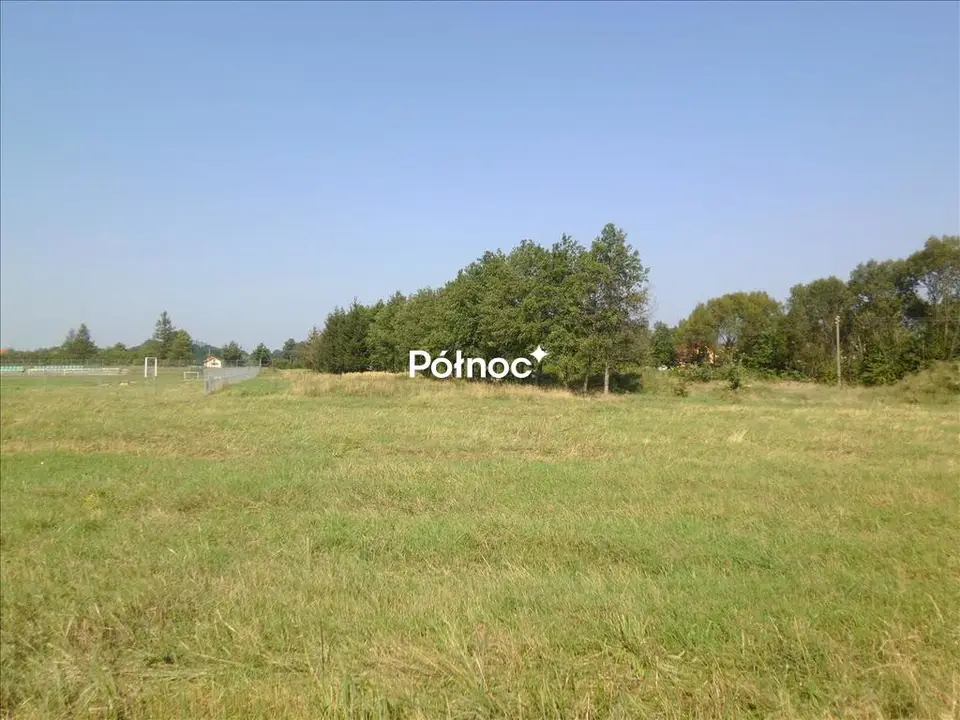 Zdjęcie 6