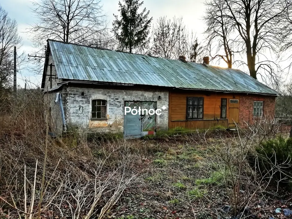 Zdjęcie 3