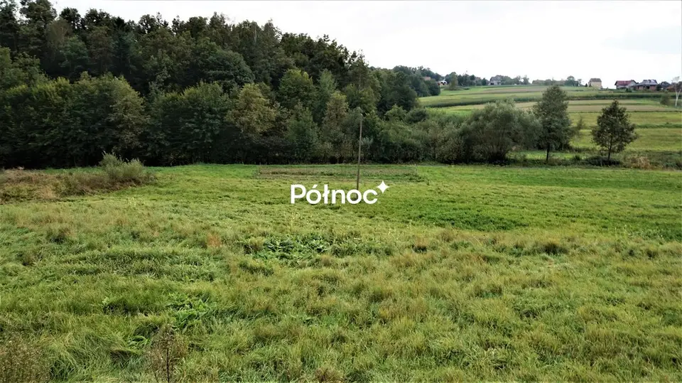 Zdjęcie 2