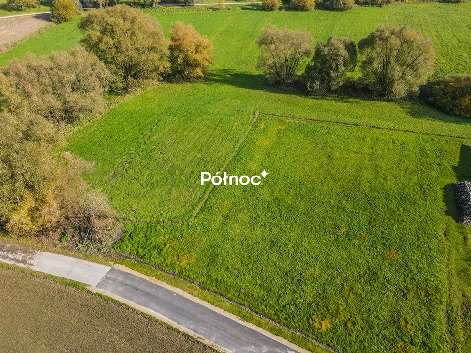Zdjęcie 2