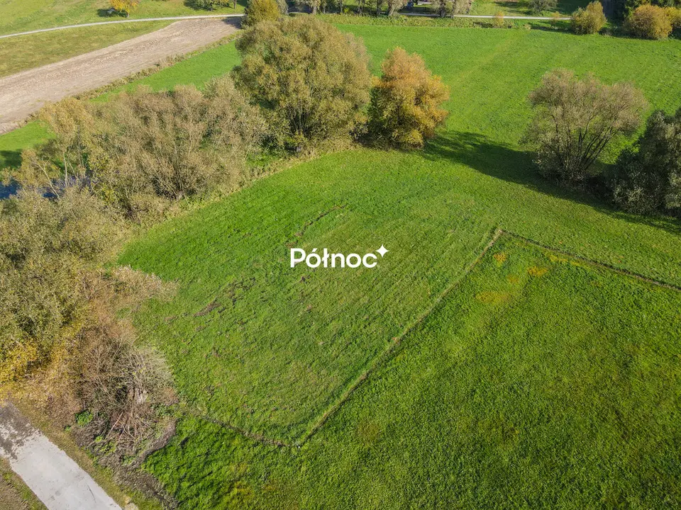 Zdjęcie 3