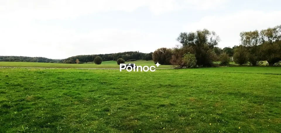 Zdjęcie 5