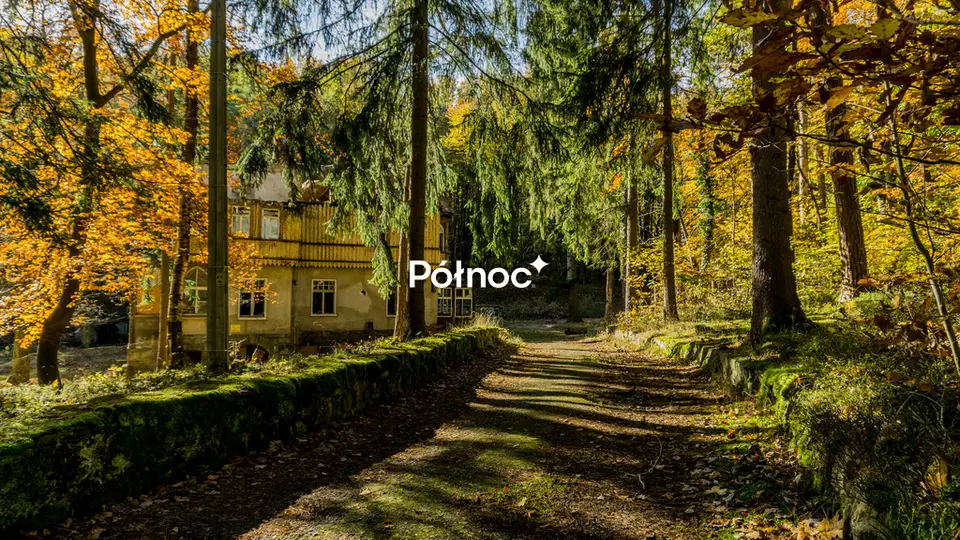 Działka inwestycyjna 7 998 m², Polanica-Zdrój