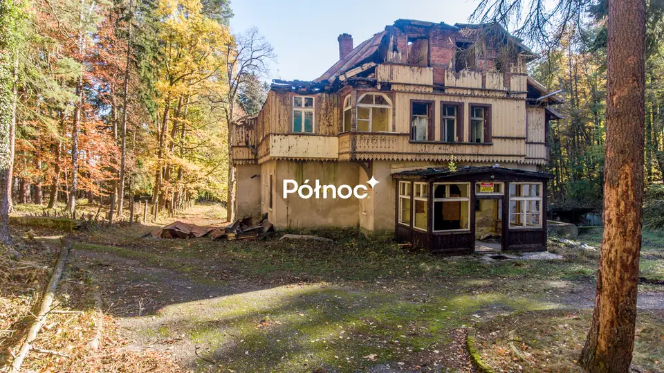 Zdjęcie 10