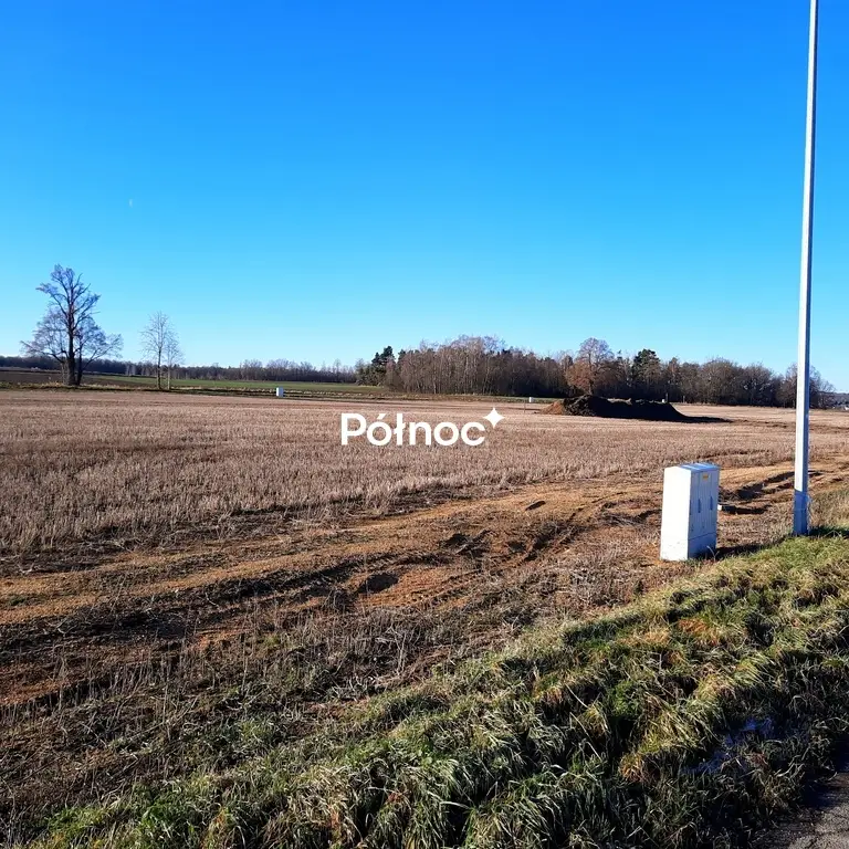 Zdjęcie 2