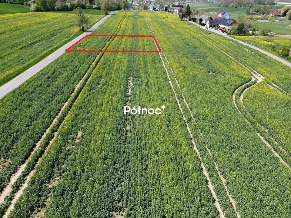 Zdjęcie 2