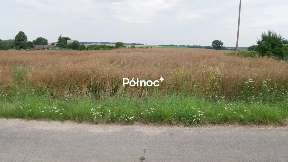 Zdjęcie 2