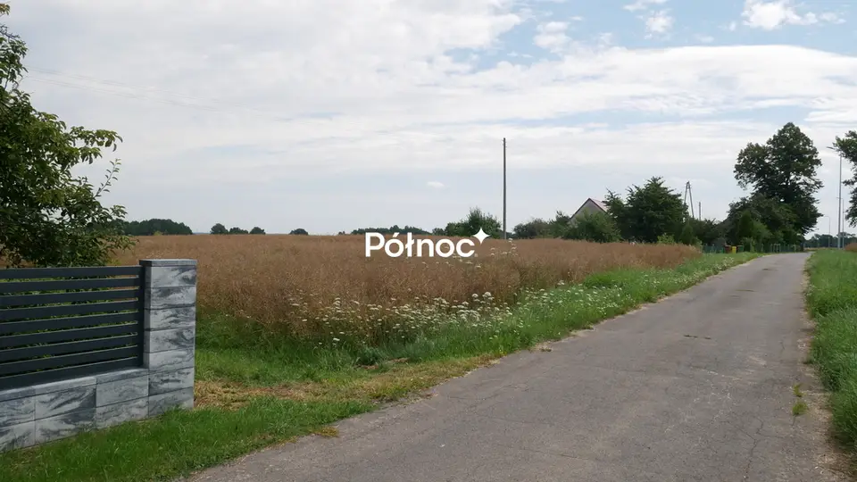 Zdjęcie 3