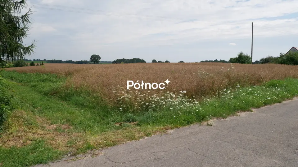 Zdjęcie 4
