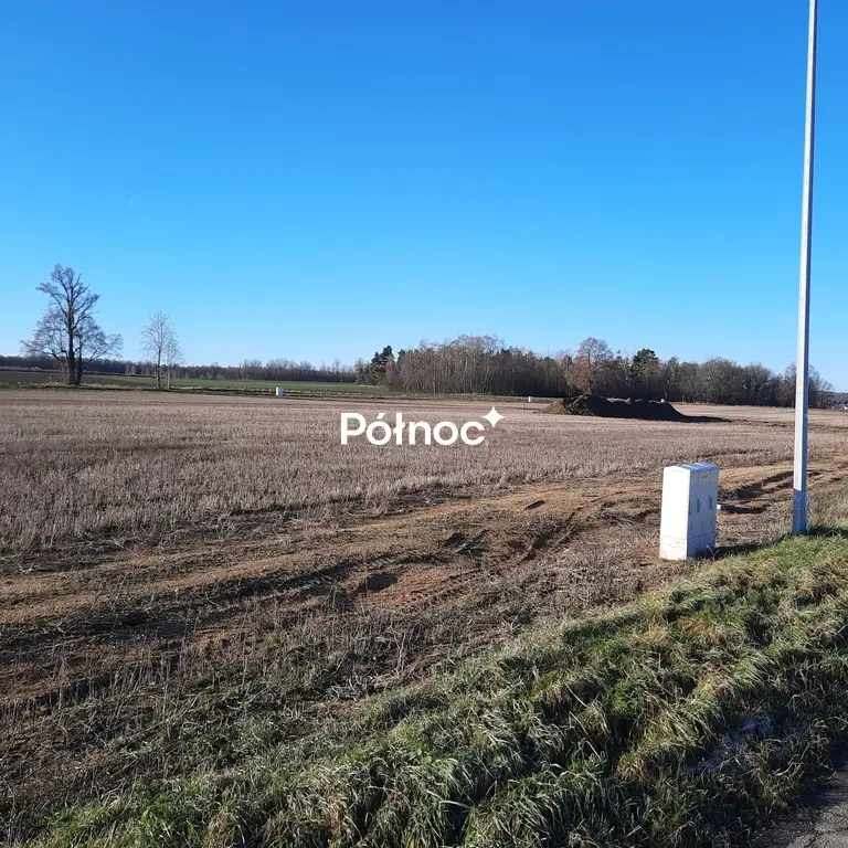Zdjęcie 4