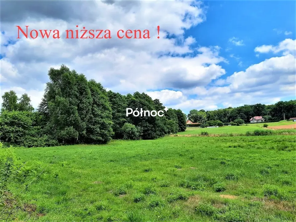 Działka rolna 5 045 m², Skrzyszów