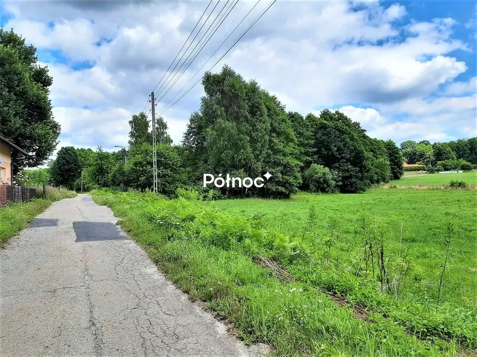 Zdjęcie 5