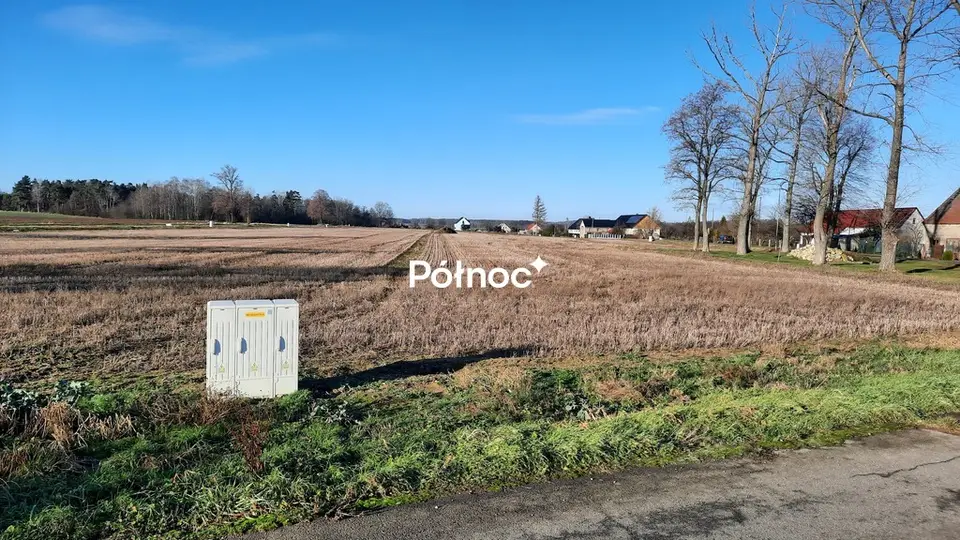 Zdjęcie 2