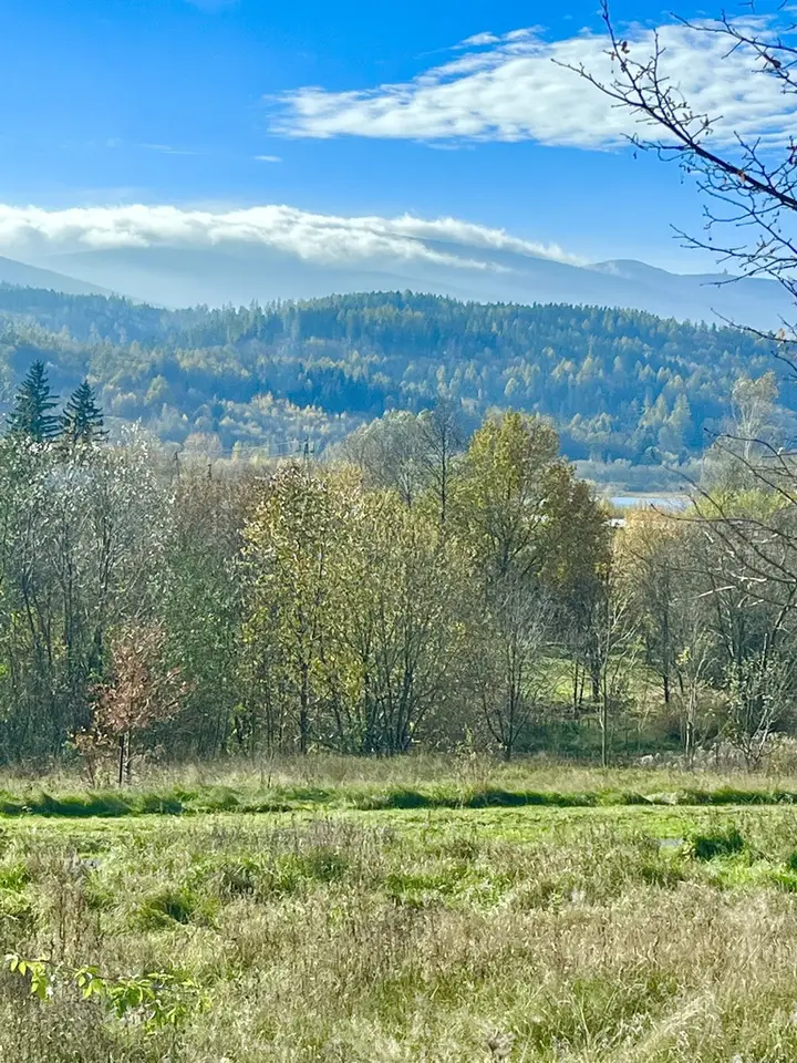Działka inwestycyjna 3 000 m², Sosnówka