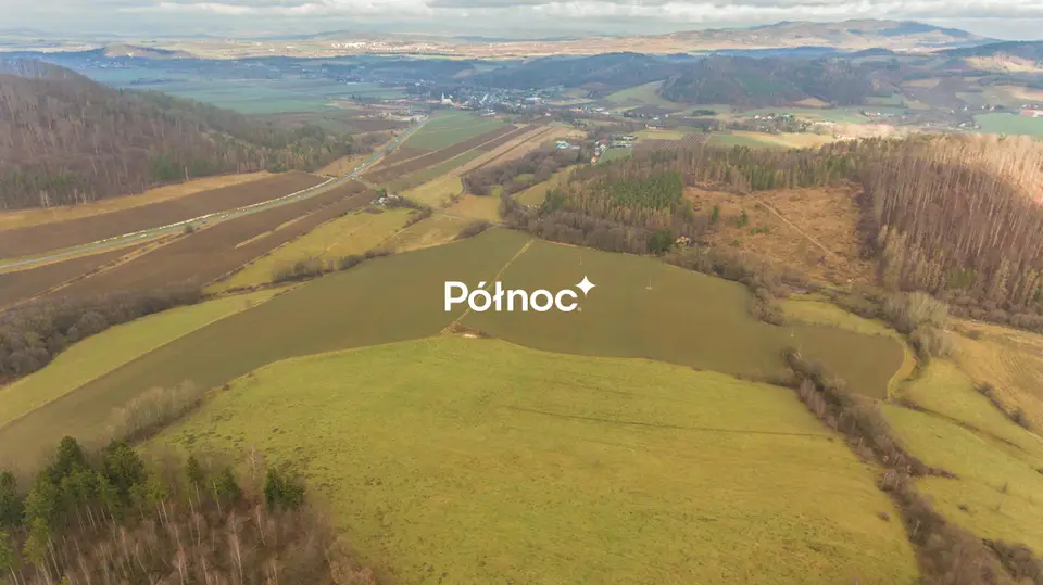 Zdjęcie 5
