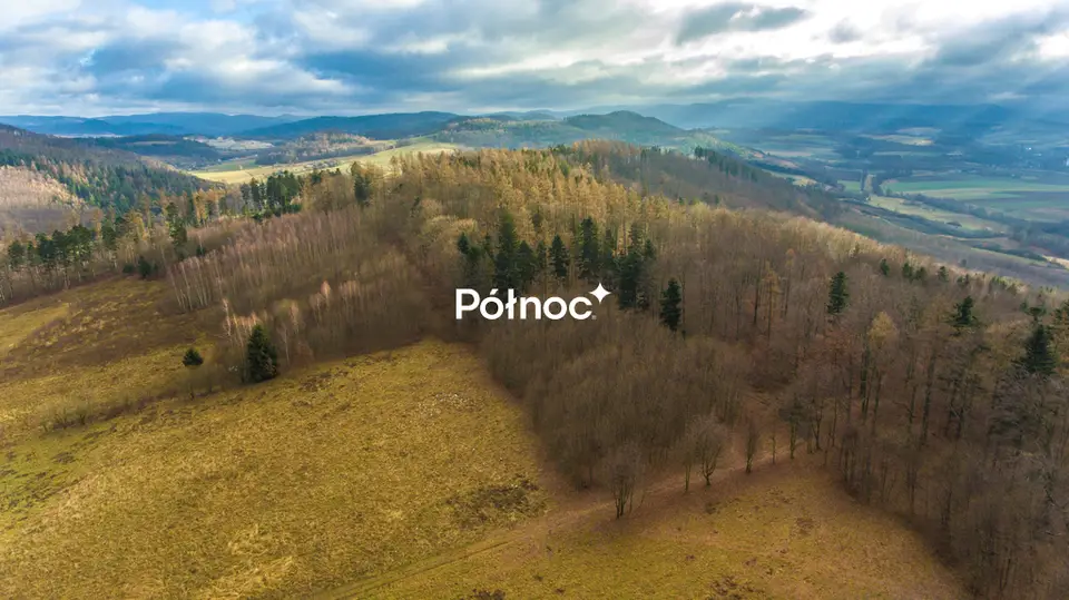 Zdjęcie 8