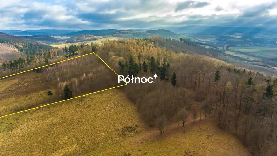 Zdjęcie 9