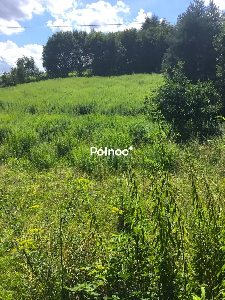 Działka siedliskowa 2 513 m², Minoga