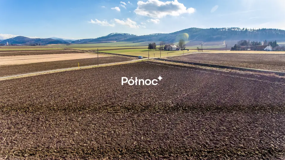 Zdjęcie 8