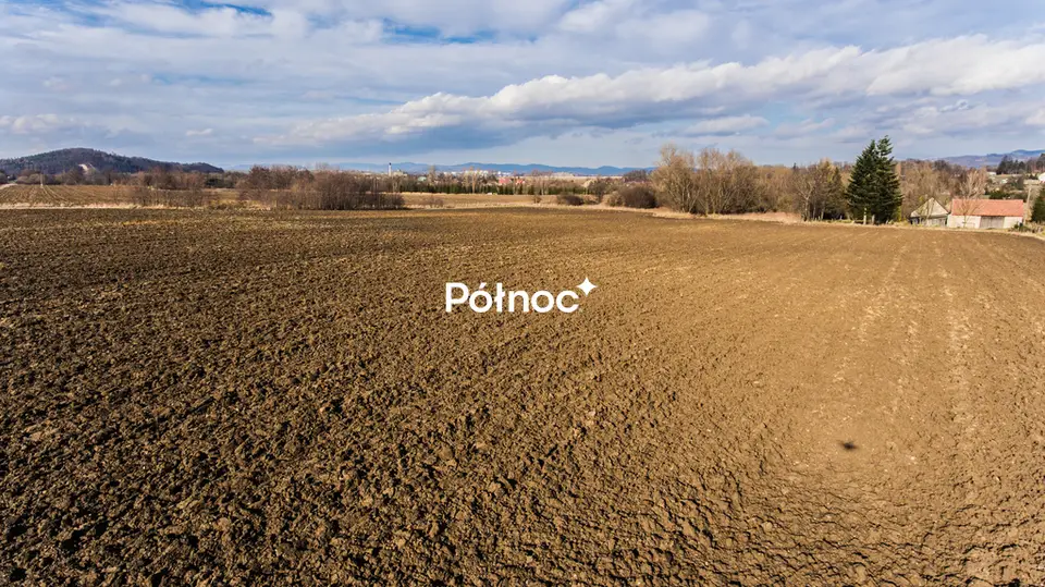 Zdjęcie 9