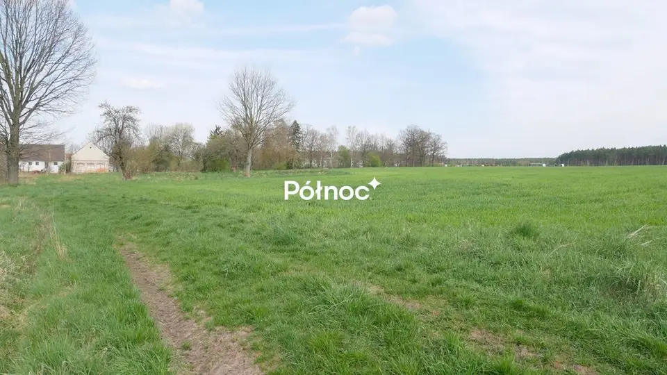 Zdjęcie 3