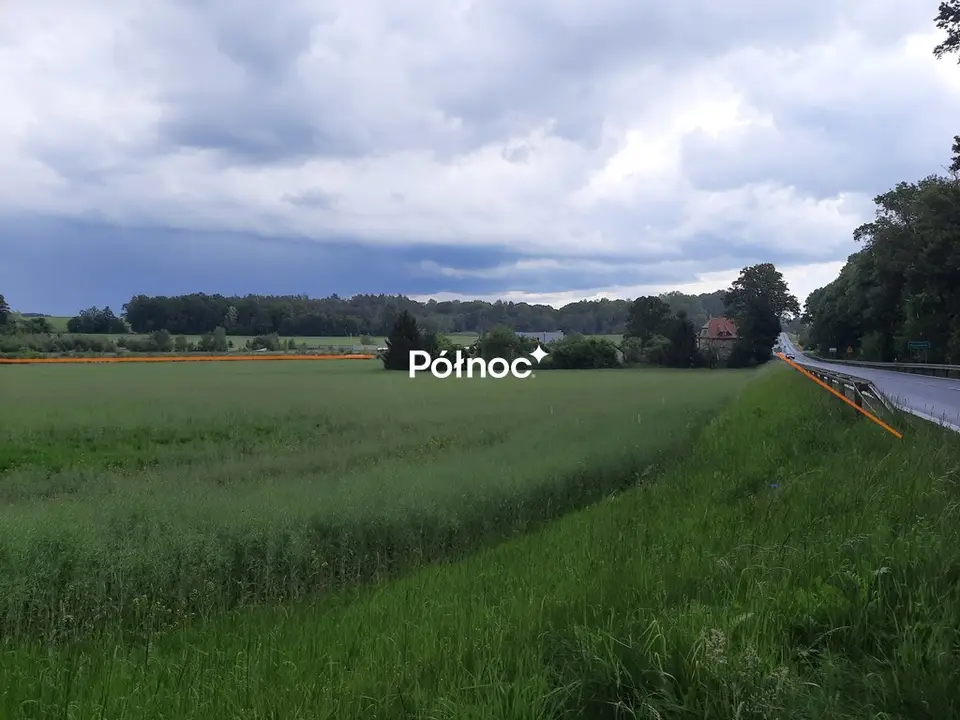 Zdjęcie 6