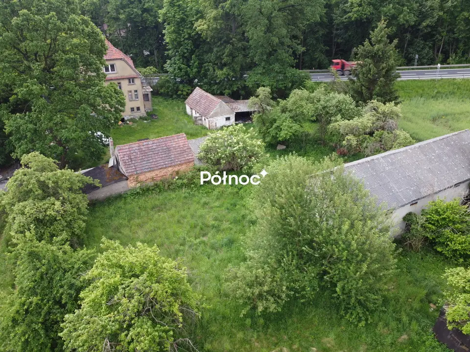 Zdjęcie 7