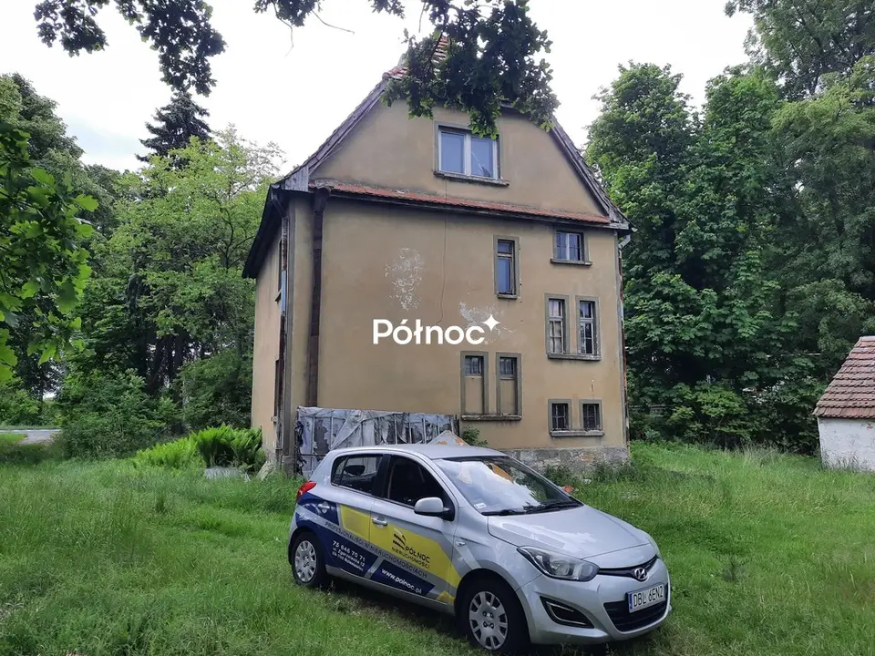 Zdjęcie 8