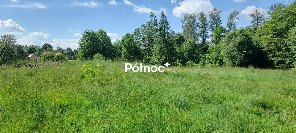 Zdjęcie 3