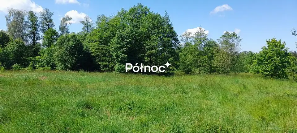 Zdjęcie 4
