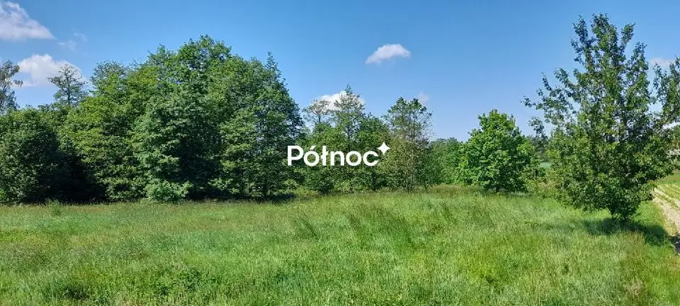 Zdjęcie 5