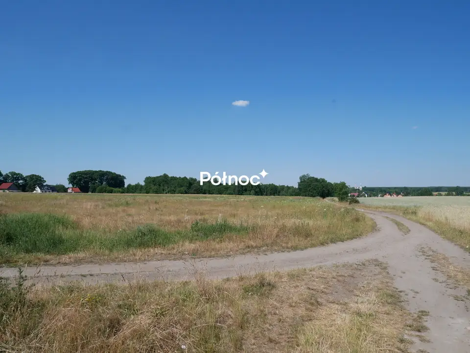 Zdjęcie 5