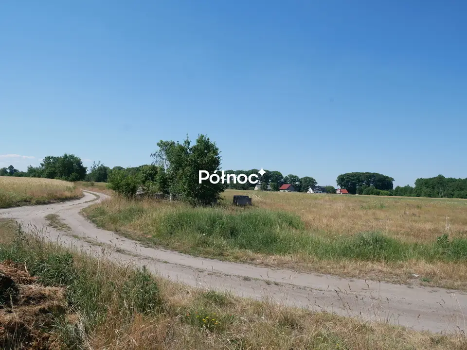 Zdjęcie 6