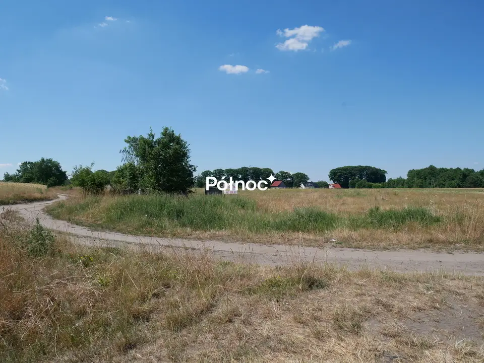 Zdjęcie 8